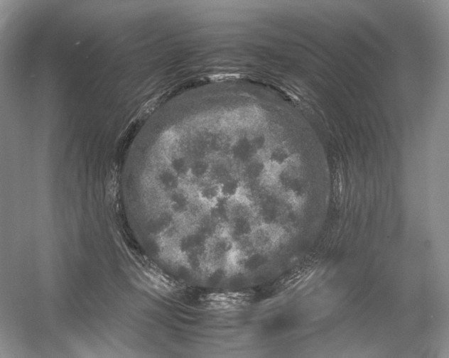 X0000054370367200508262347