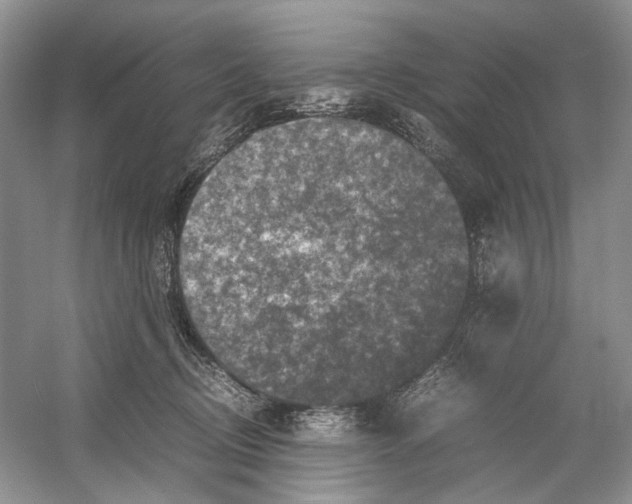 X0000054370370200508262347