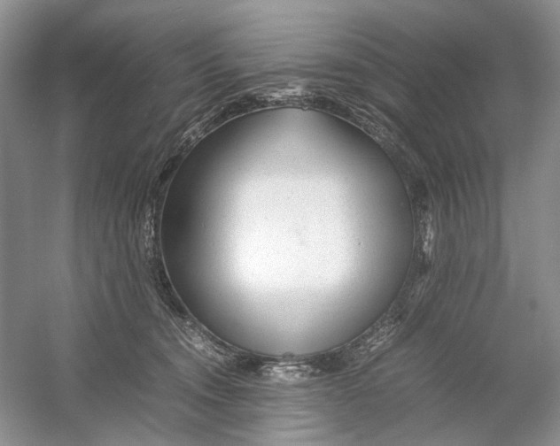 X0000054370372200508262347