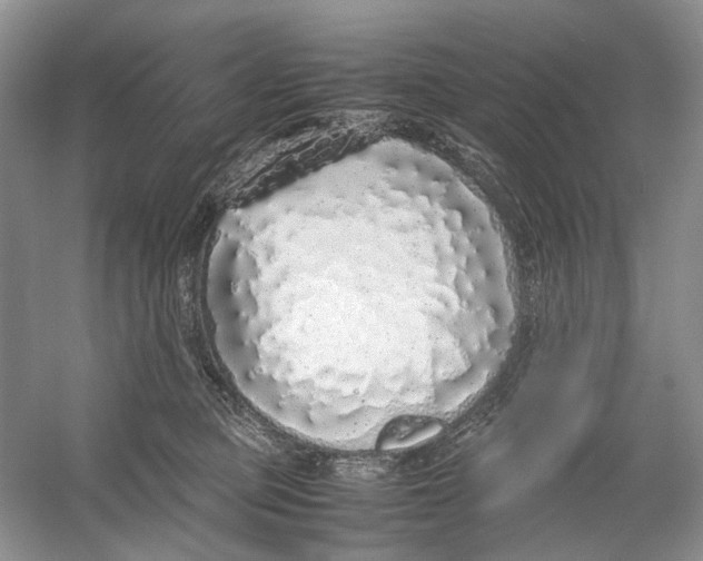 X0000054370373200508262347