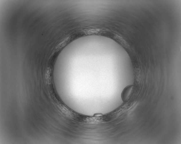 X0000054370378200508262347