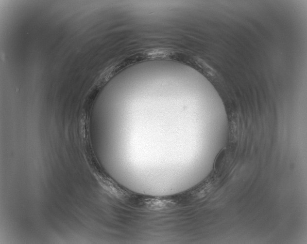 X0000054370379200508262347