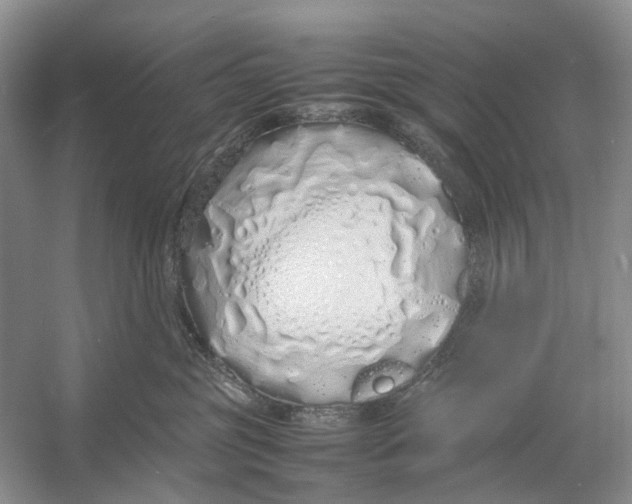 X0000054370381200508262347