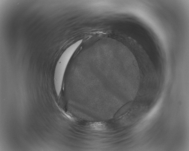 X0000054370383200508262348