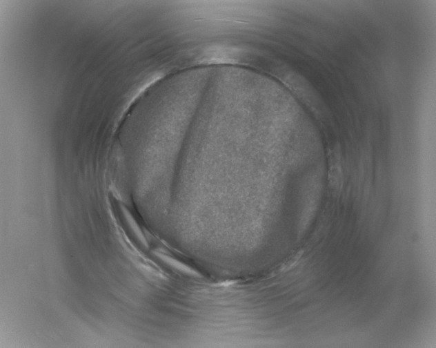 X0000054370386200508262347