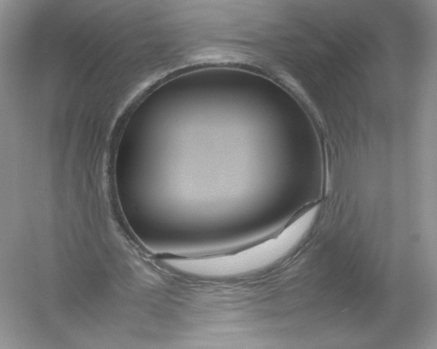 X0000054370387200508262347