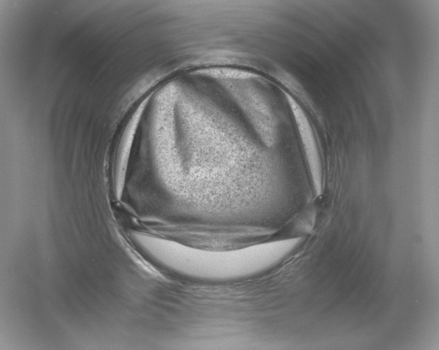 X0000054370389200508262347