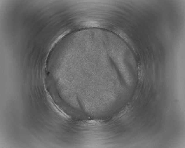 X0000054370390200508262347