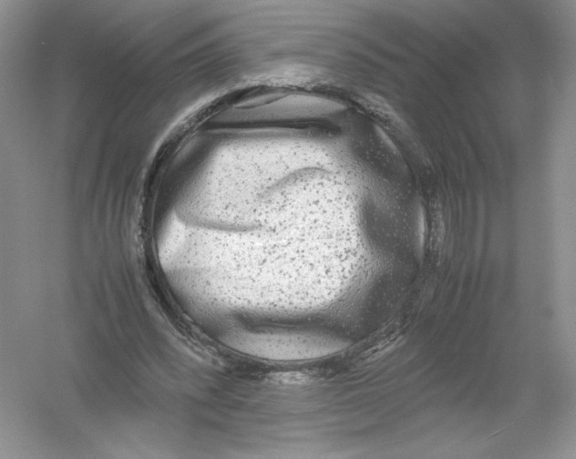 X0000054370392200508262347