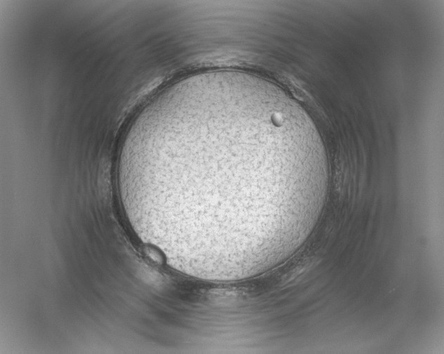 X0000054370394200508262347