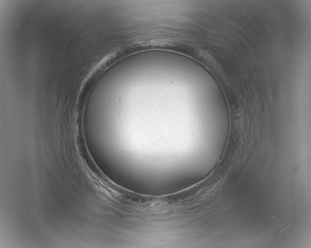 X0000054370395200508262347