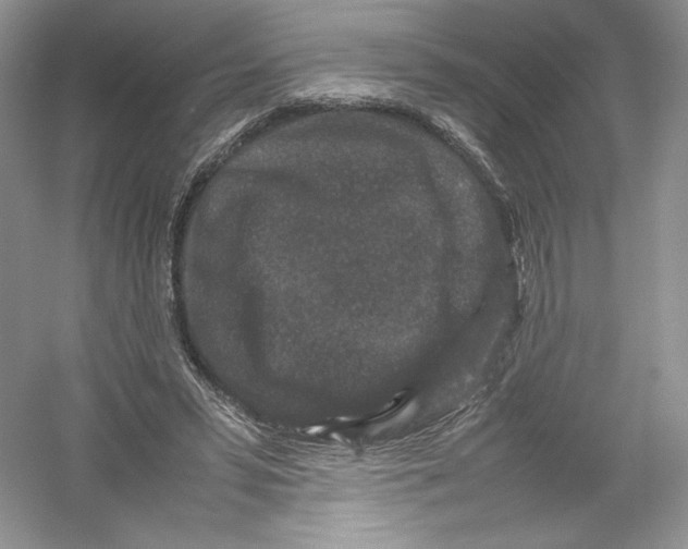 X0000054370399200508262346