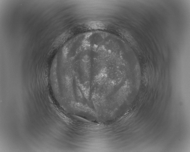 X0000054370402200508262346