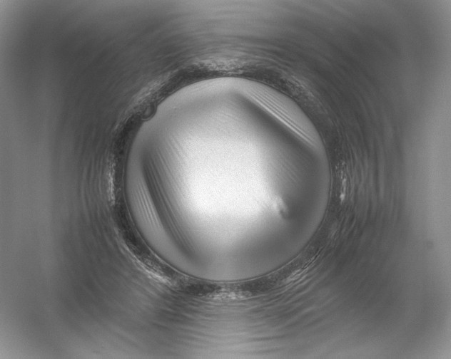 X0000054370404200508262346