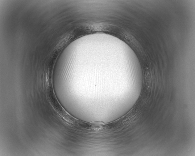 X0000054370406200508262346