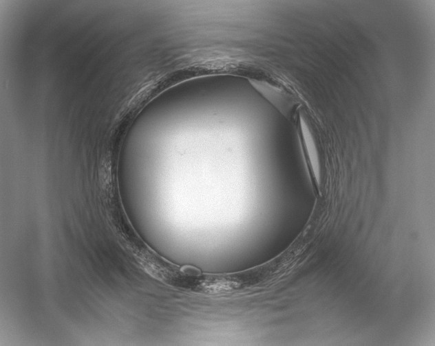 X0000054370407200508262346