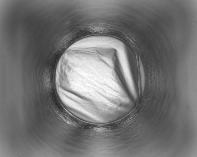 X0000054370408200508262346