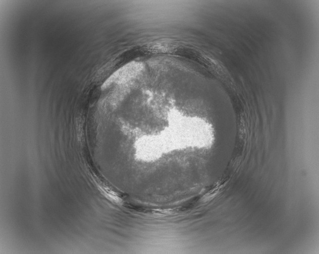 X0000054370409200508262346