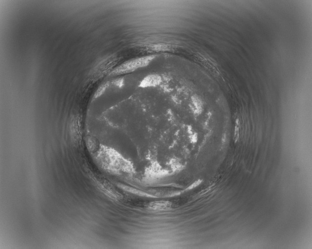 X0000054370410200508262346