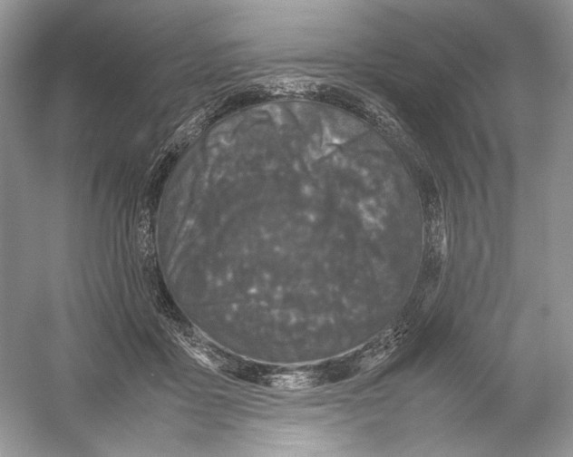 X0000054370411200508262346