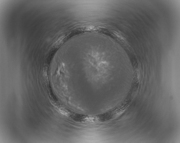 X0000054370415200508262346