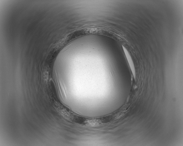 X0000054370417200508262346