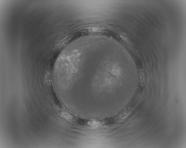 X0000054370419200508262346