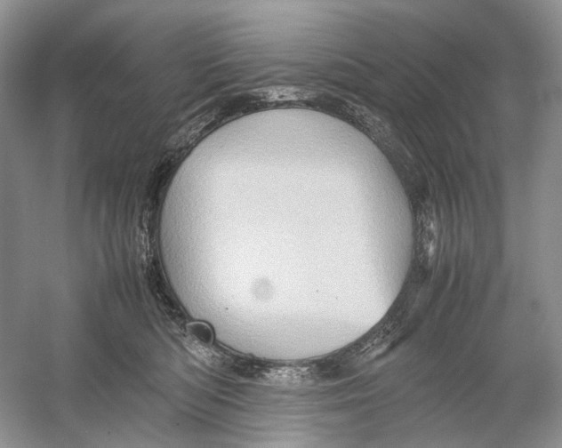 X0000054370422200508262346