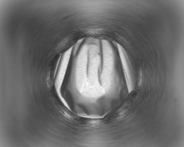 X0000054370428200508262346