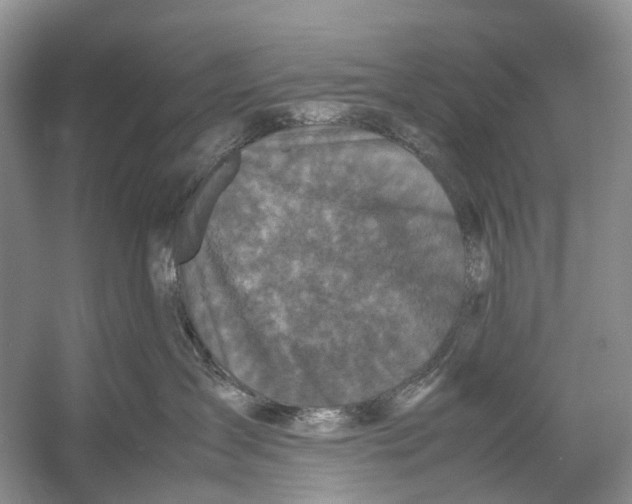 X0000054370431200508262346