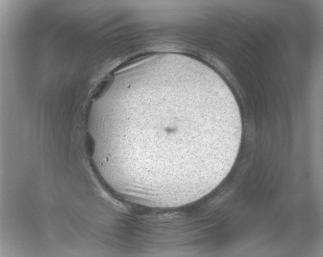 X0000054370433200508262345