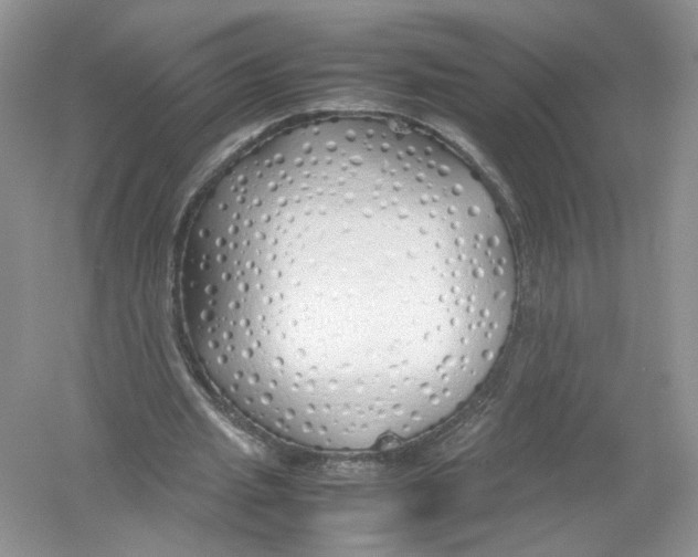 X0000054370437200508262345