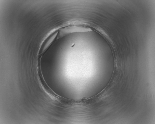 X0000054370438200508262345