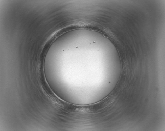 X0000054370440200508262345