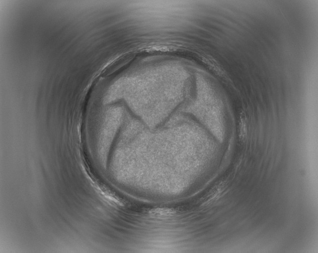 X0000054370444200508262345