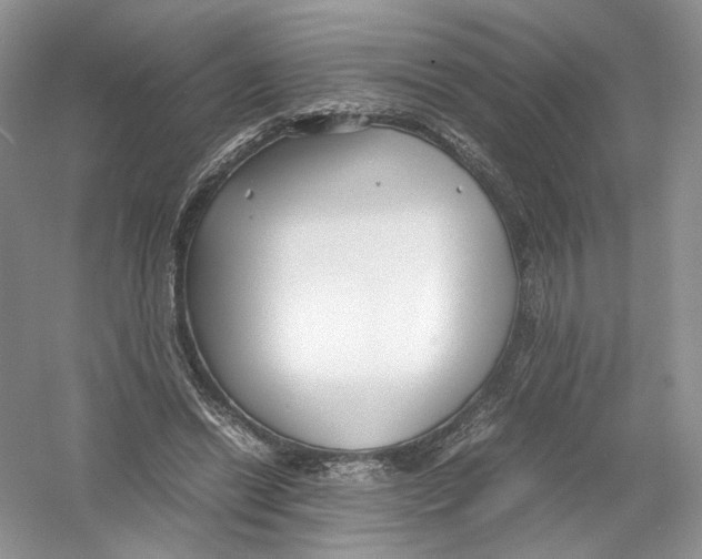 X0000054370446200508262345