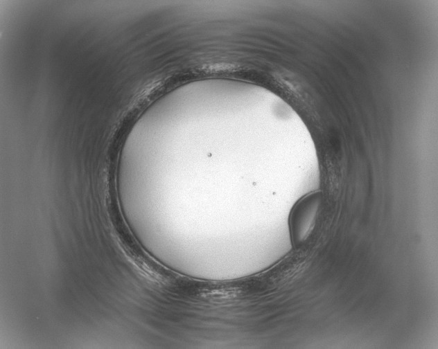 X0000054370447200508262345