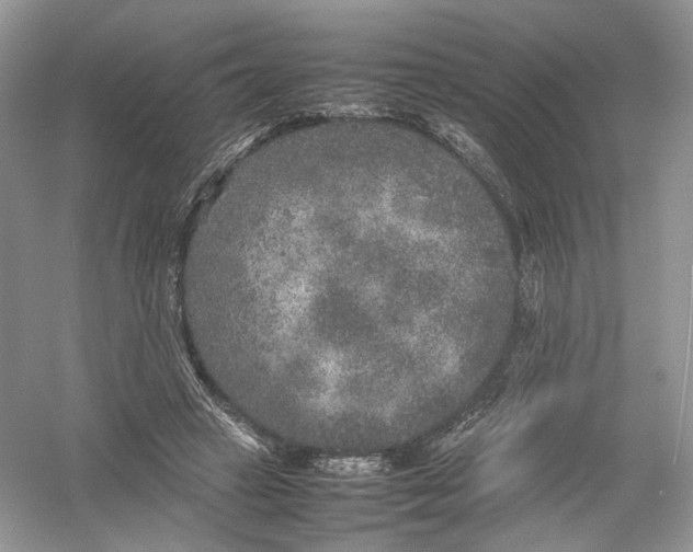 X0000054370449200508262345