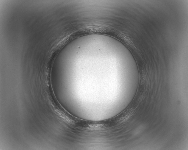 X0000054370450200508262345