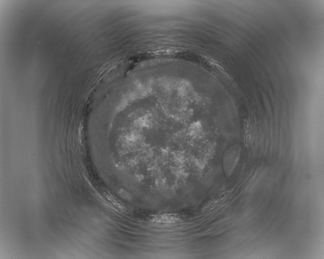 X0000054370451200508262345