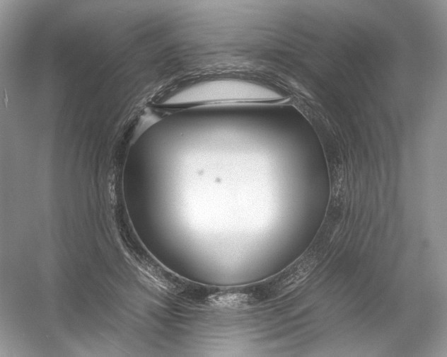 X0000054370452200508262345