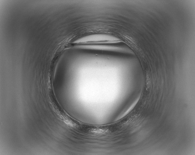 X0000054370453200508262345