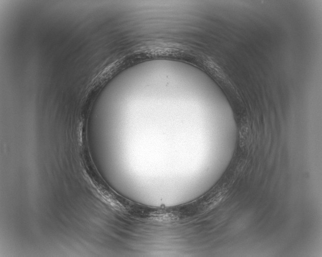 X0000054370454200508262345