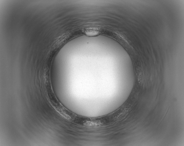 X0000054370455200508262345