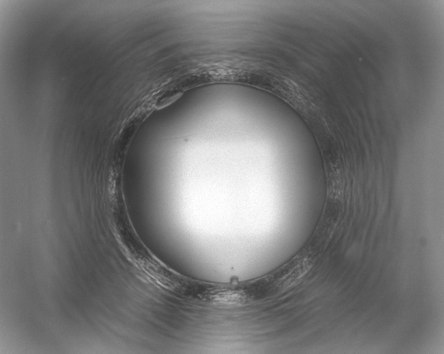 X0000054370456200508262345