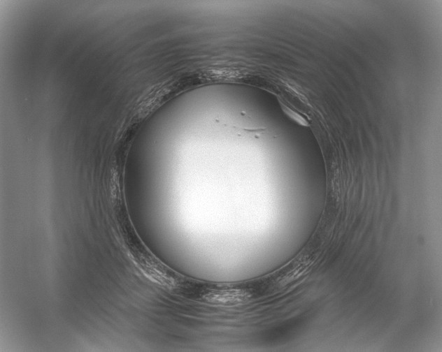 X0000054370459200508262346