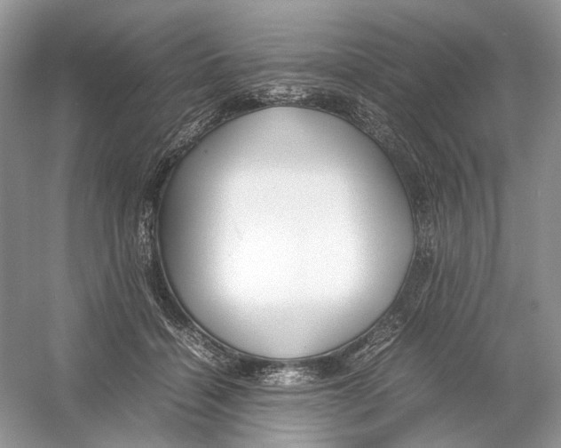 X0000054370460200508262346