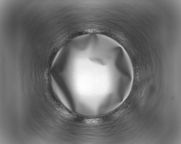 X0000054370461200508262346