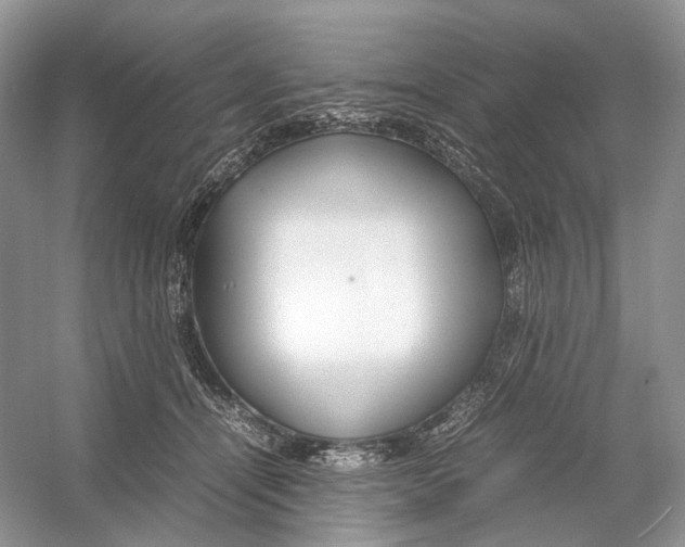 X0000054370464200508262346