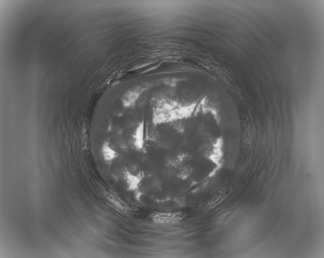 X0000054370465200508262346